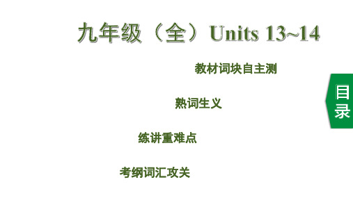 22. 九年级(全) Units 13~14