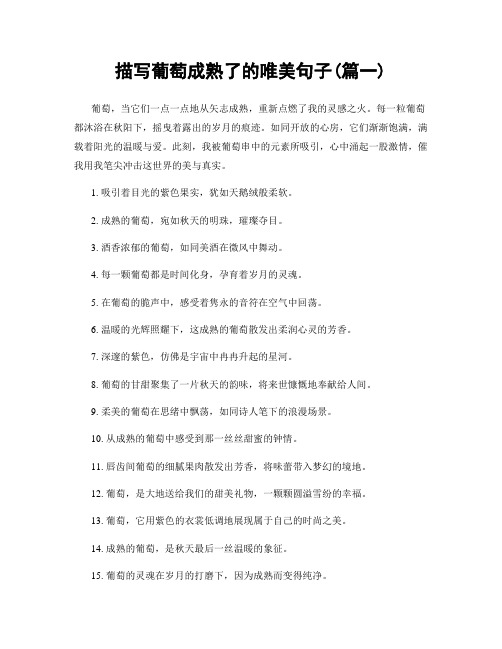 描写葡萄成熟了的唯美句子(精选2篇)