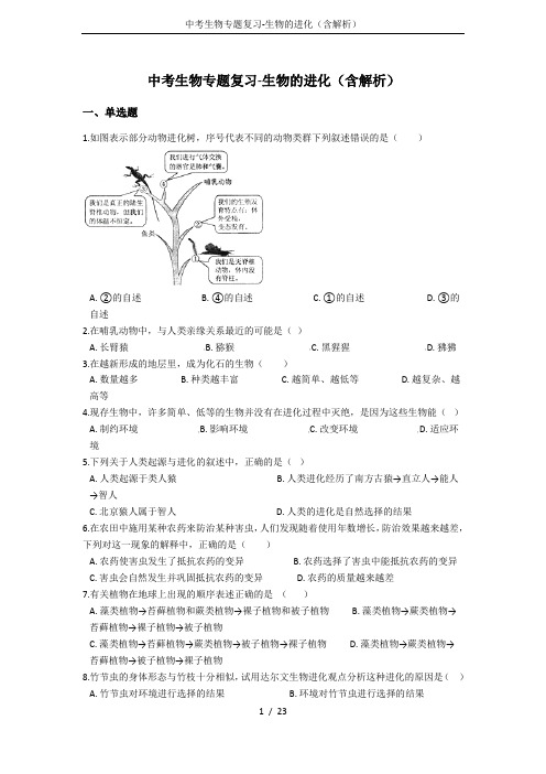 中考生物专题复习-生物的进化(含解析)