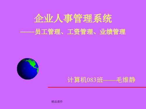 企业人事管理系统-----员工管理、工资管理、业绩管理培训课件.ppt