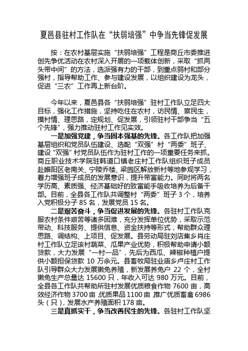 夏邑县驻村工作队在“扶弱培强”中争当先锋促发展