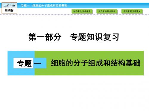 二轮复习专题1第1讲细胞的物质基础