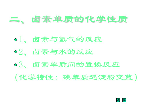 高一化学卤族元素(1)(PPT)2-2