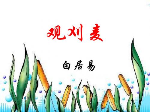 七年级语文观刈麦课件