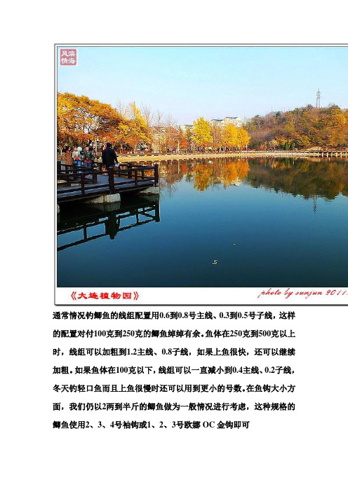 钓鲫鱼线组配置