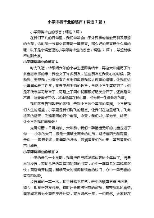 小学即将毕业的感言（精选7篇）