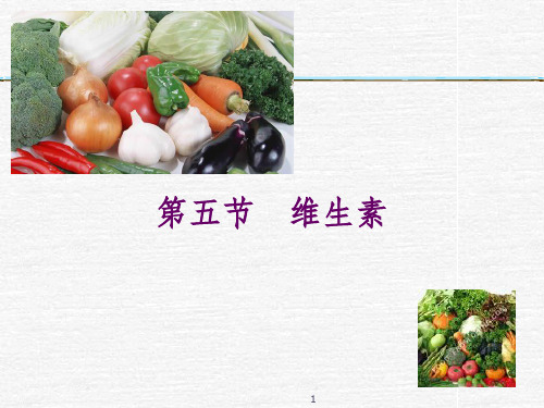 医学营养学维生素矿物质ppt课件
