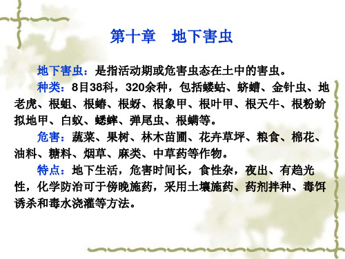 园艺昆虫学