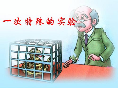 《一次特殊的实验》课件