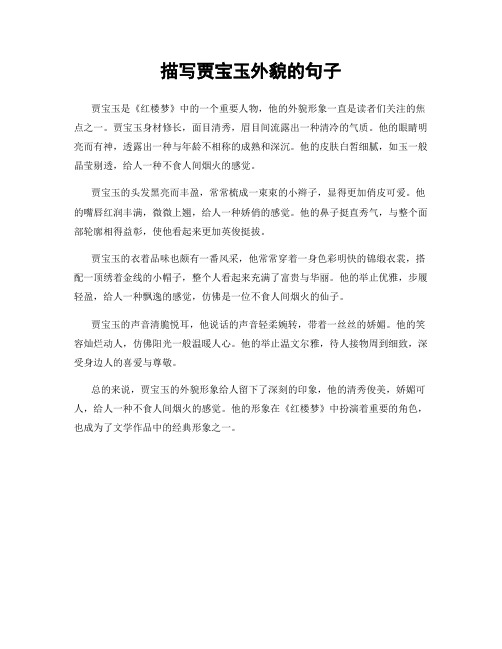 描写贾宝玉外貌的句子