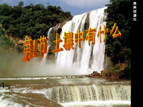 三年级下册科学科标准课件《土壤里有什么》人教版(22张)标准课件