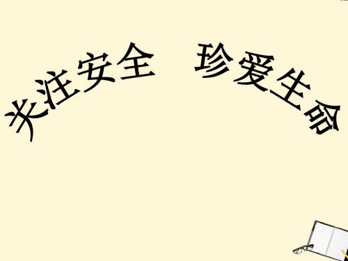 主题班会 关注安全 珍爱生命课件 共37页