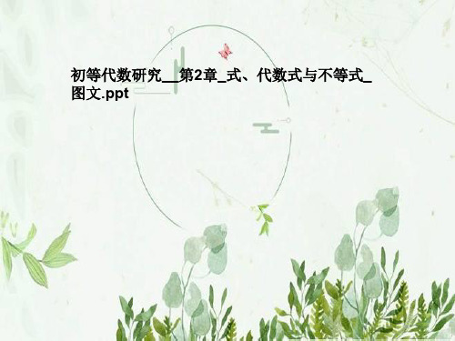 初等代数研究__第2章_式、代数式与不等式_图文