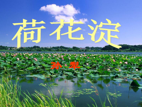 统编版高中语文选择性必修中册《荷花淀》课件(31张PPT)