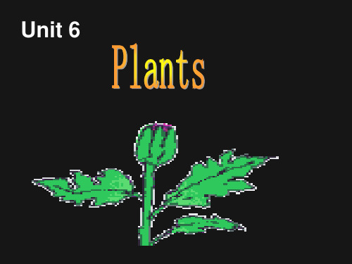 Unit 6 Plants 2PPT课件
