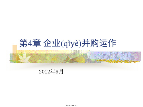 企业并购运作培训教材2