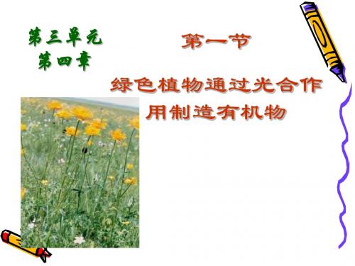 绿色植物通过光合作用制造有机物PPT课件5 人教版