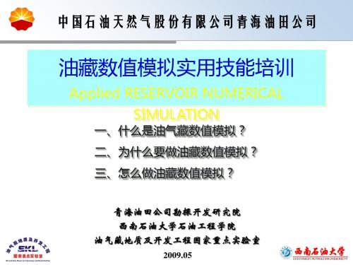 油藏数值模拟实用技能培训