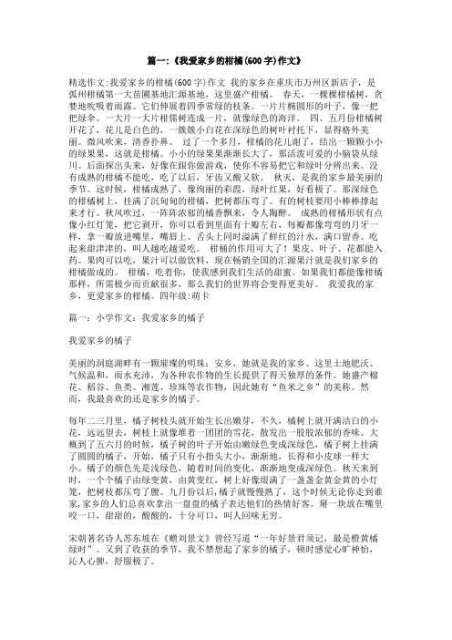 家乡的柑橘500字