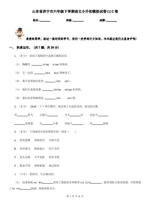 山东省济宁市六年级下学期语文小升初模拟试卷(1)C卷