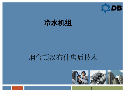 顿汉布什冷水机组