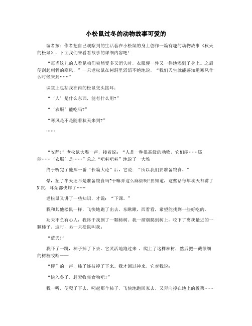 小松鼠过冬的动物故事可爱的