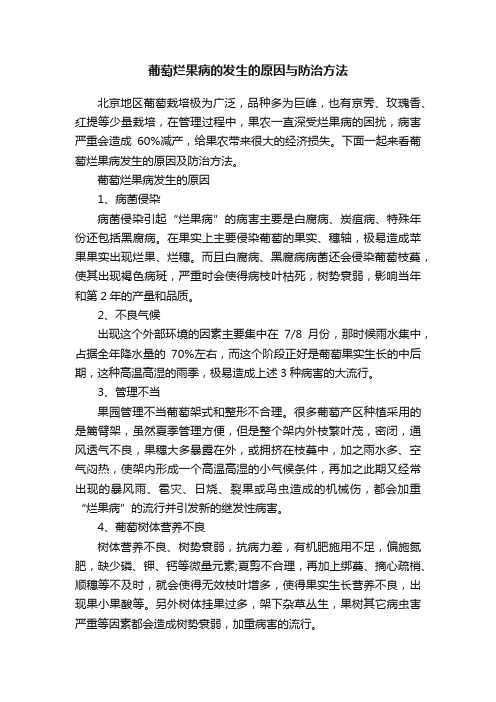 葡萄烂果病的发生的原因与防治方法