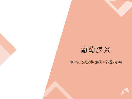 眼睛葡萄膜炎的诊治