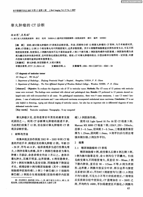 睾丸肿瘤的CT诊断