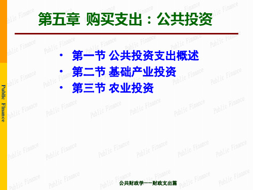 第5章 购买性支出——公共投资