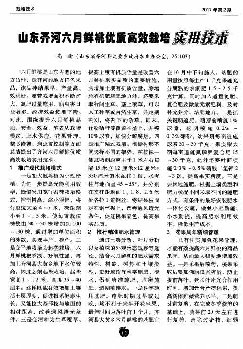 山东齐河六月鲜桃优质高效栽培实用技术