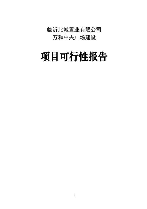 临沂北城置业万和中央广场建设项目(1)