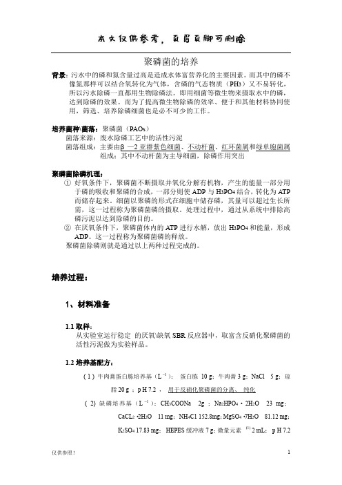 聚磷菌的培养(借鉴材料)