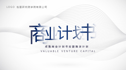 简约通用全行业商业融资计划书PPT模板