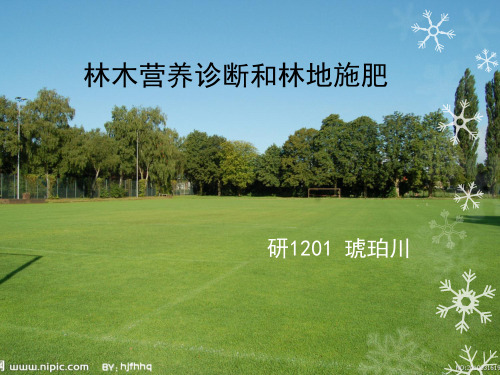 林木营养诊断和林地施肥