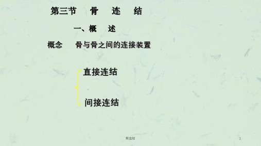 骨连结课件