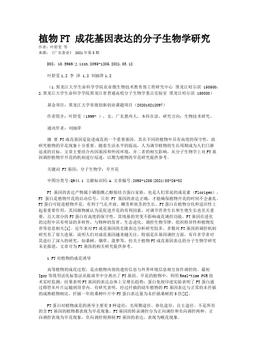 植物FT 成花基因表达的分子生物学研究
