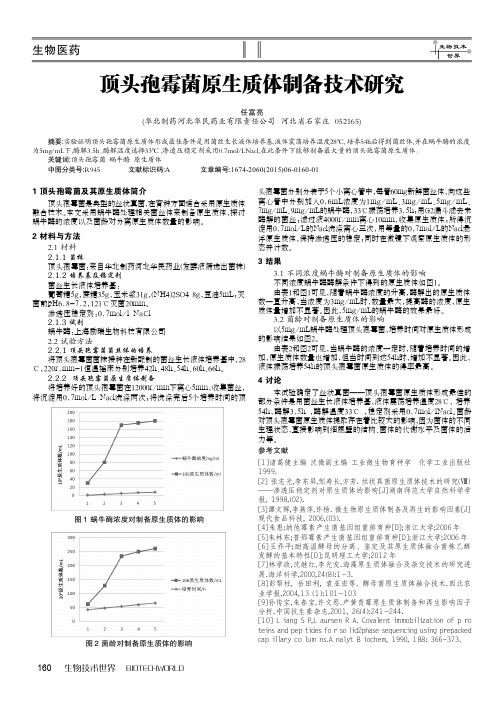 顶头孢霉菌原生质体制备技术研究