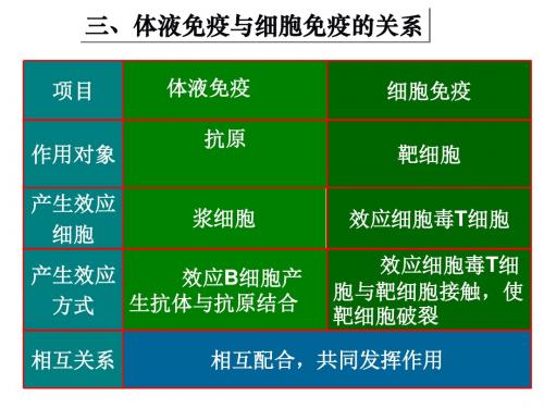 免疫失调引起的疾病ppt 人教版