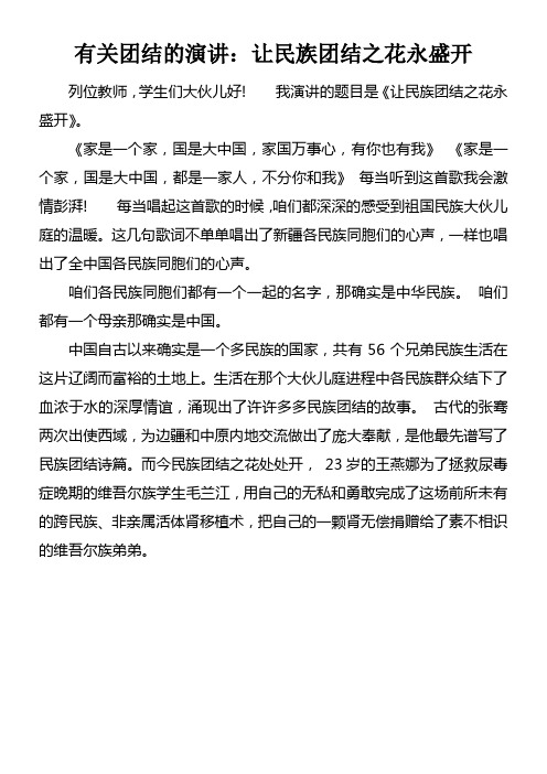 有关团结的演讲让民族团结之花永盛开