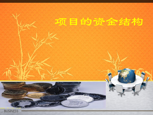 项目的资金结构