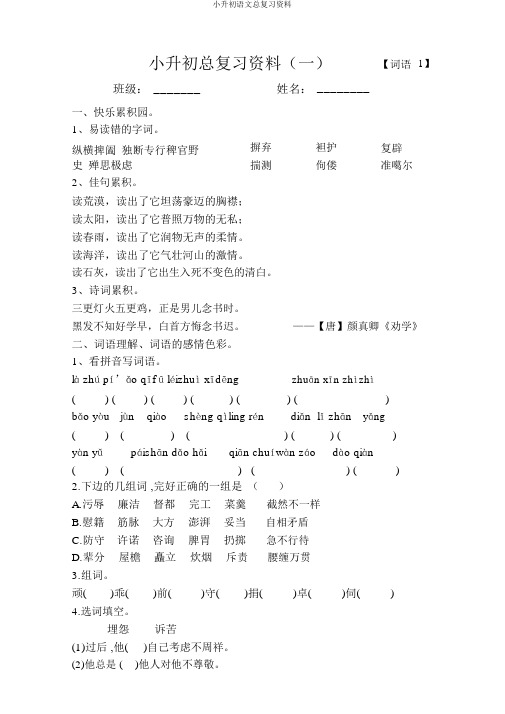 小升初语文总复习资料