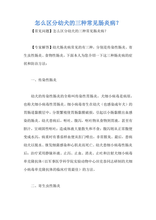怎么区分幼犬的三种常见肠炎病？