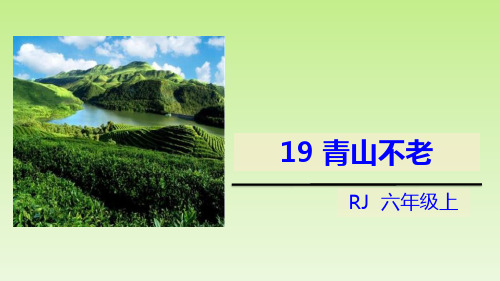 《青山不老》优质-六年级上册语文PPT课件