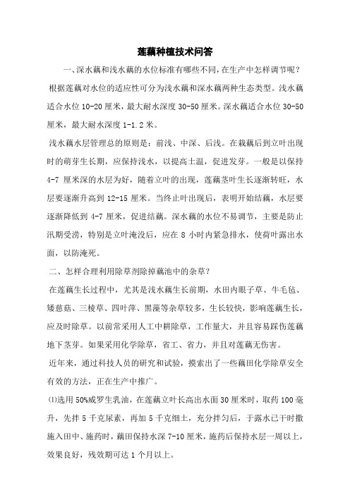 莲藕种植技术问答