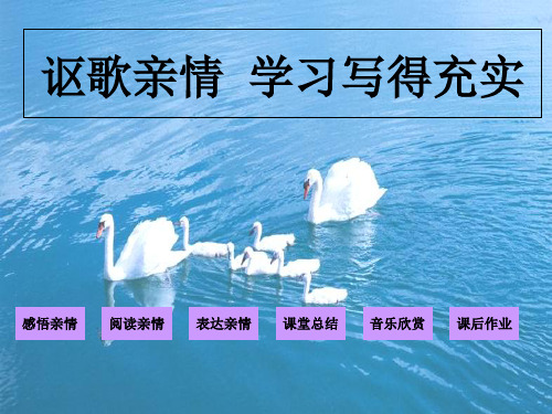 人教版高中语文必修5表达交流2《讴歌亲情 学习写得充实》 课件 (共20张PPT)