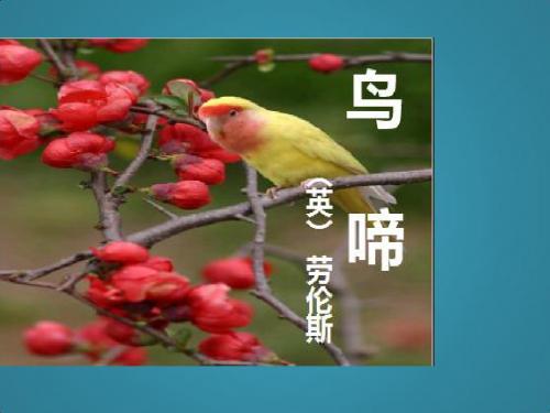高中语文第一专题珍爱生命《鸟啼》课件苏教版必修2