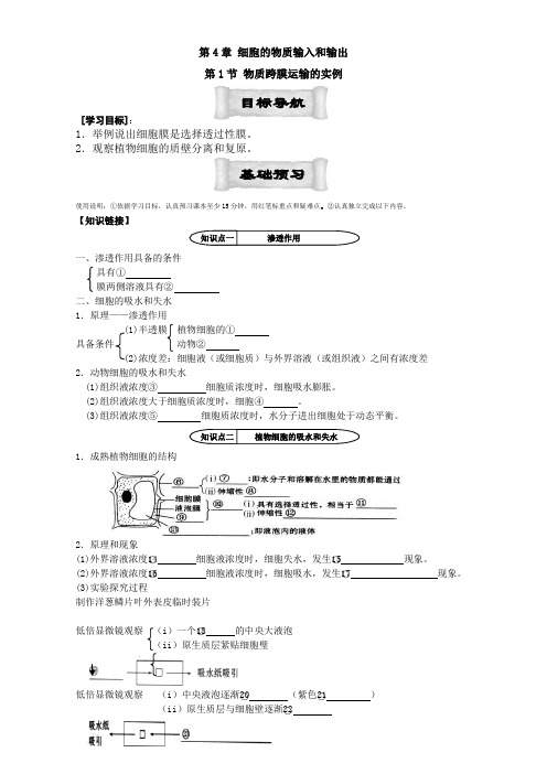 【高中生物】人教版高中生物必修1学案：4.1-物质跨膜运输的实例-Word版含答案