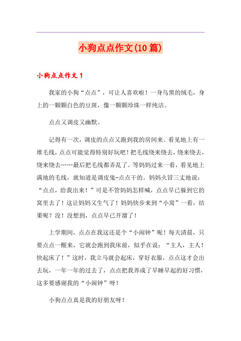 小狗点点作文(10篇)