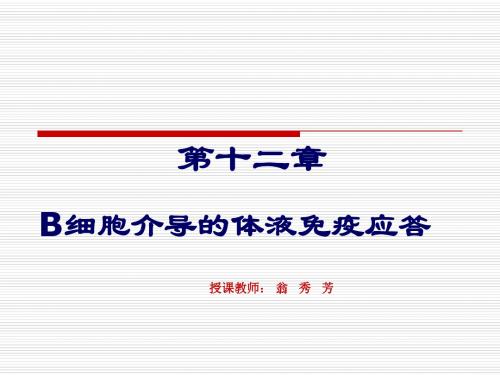 B细胞介导的体液免疫应答
